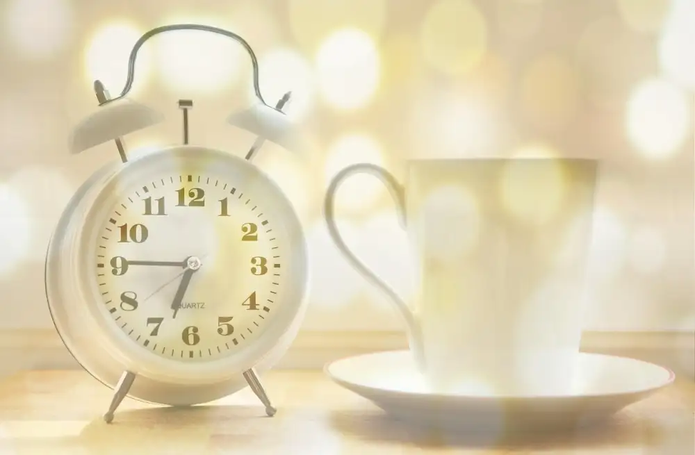 The Alarm