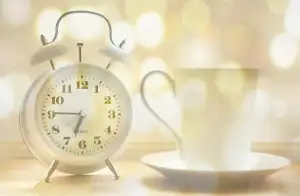 The Alarm